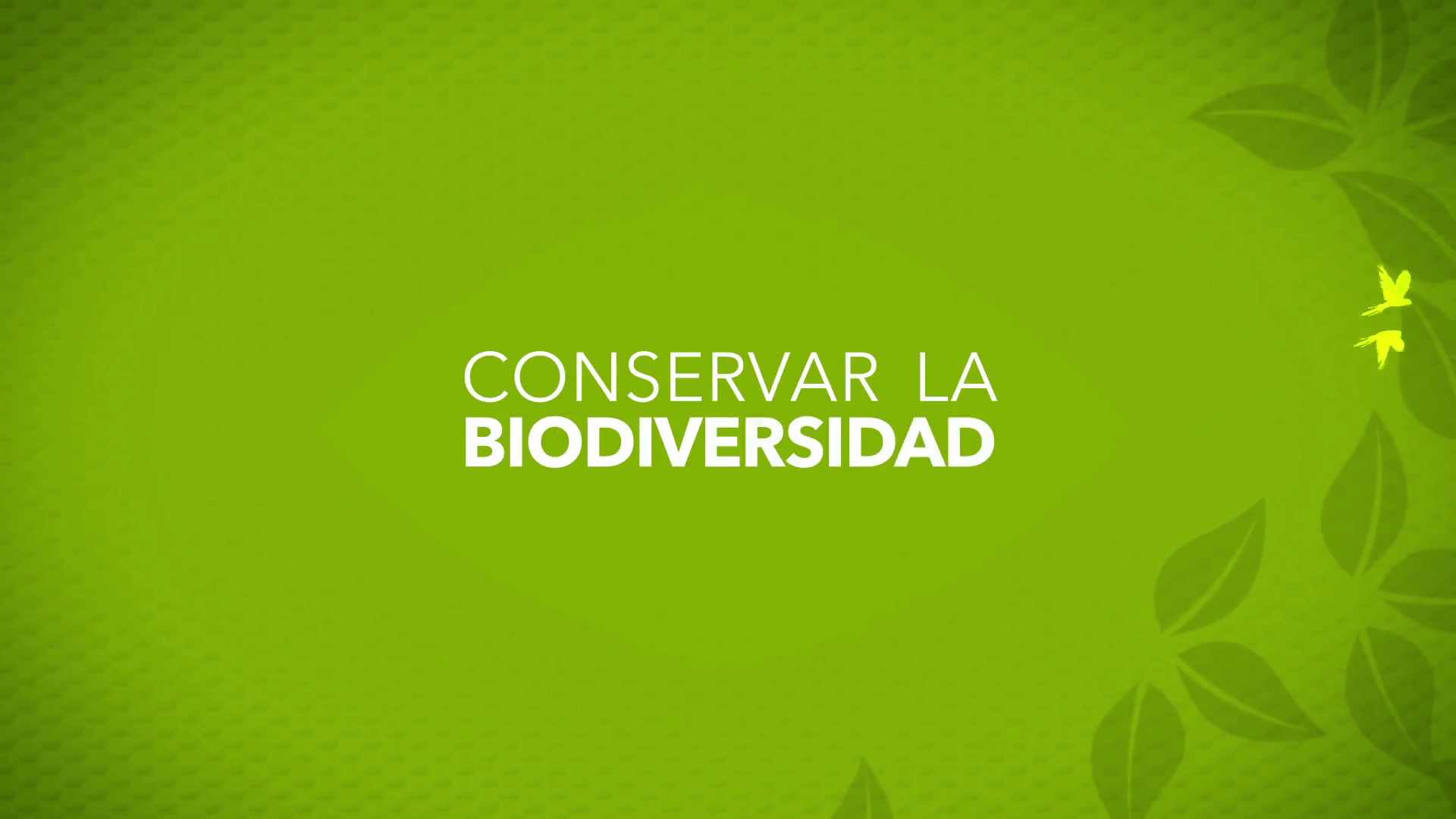 • Conservar la Biodiversidad /Reciclaje
