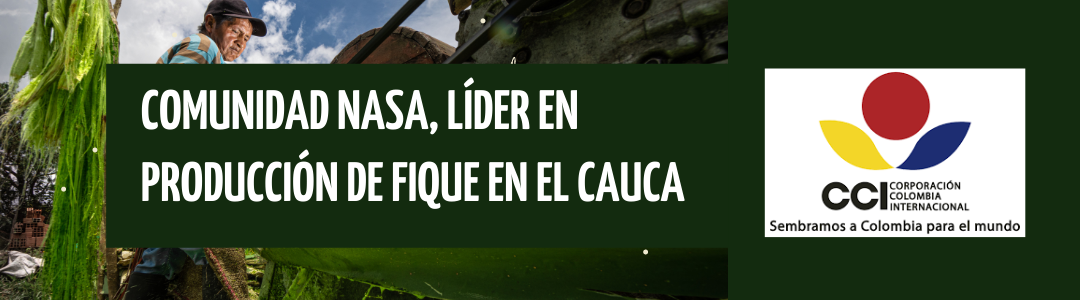  Comunidad Nasa, líder en producción de Fique en el Cauca