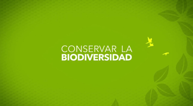 Reciclaje / Conservar la Biodiversidad