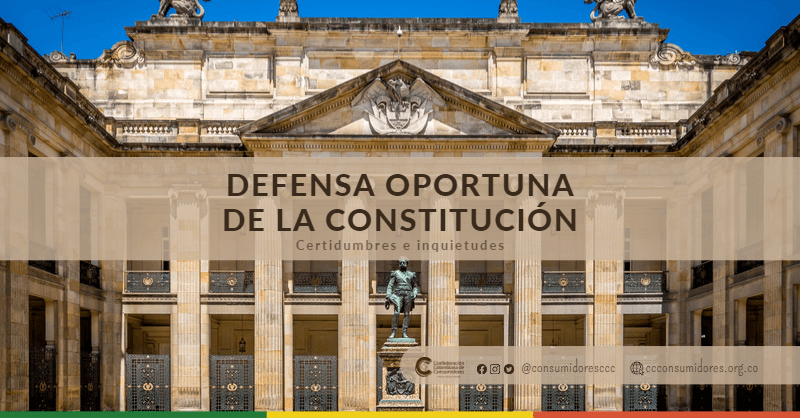 Defensa Oportuna de la Constitución