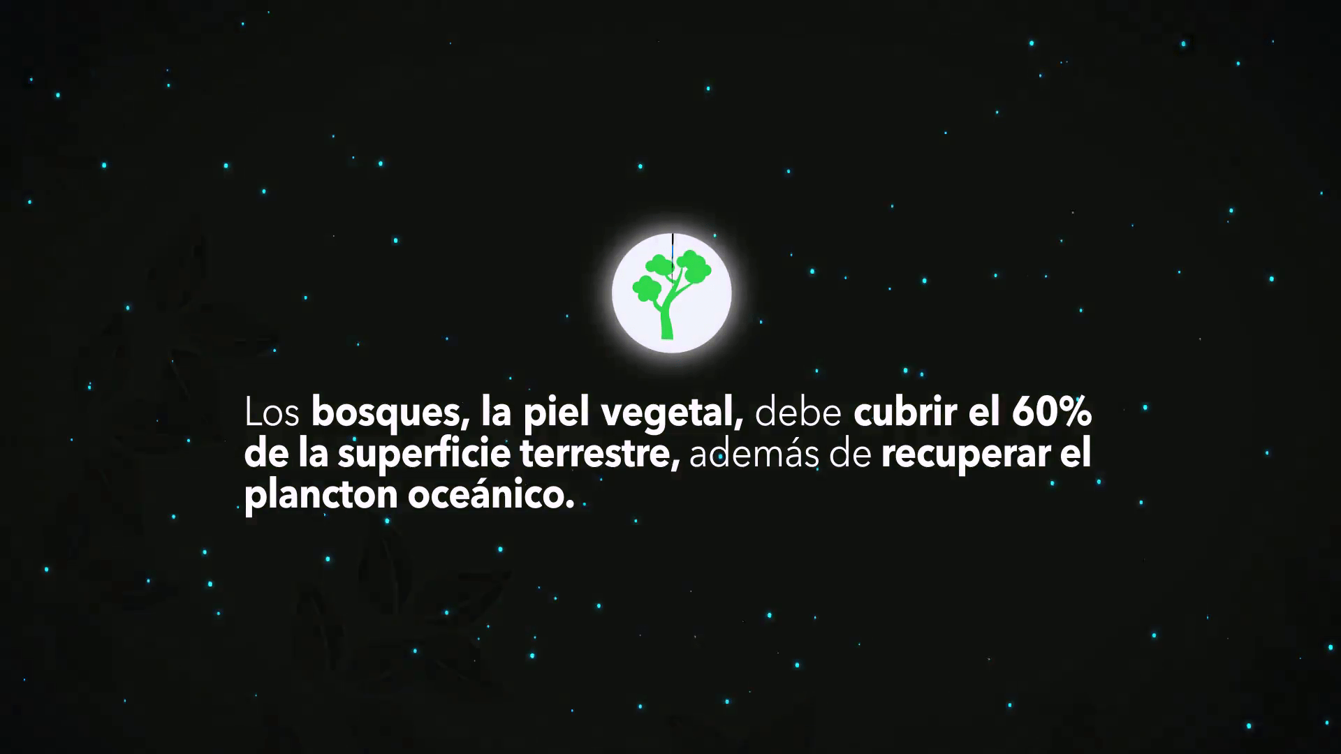 Día del Árbol en Colombia