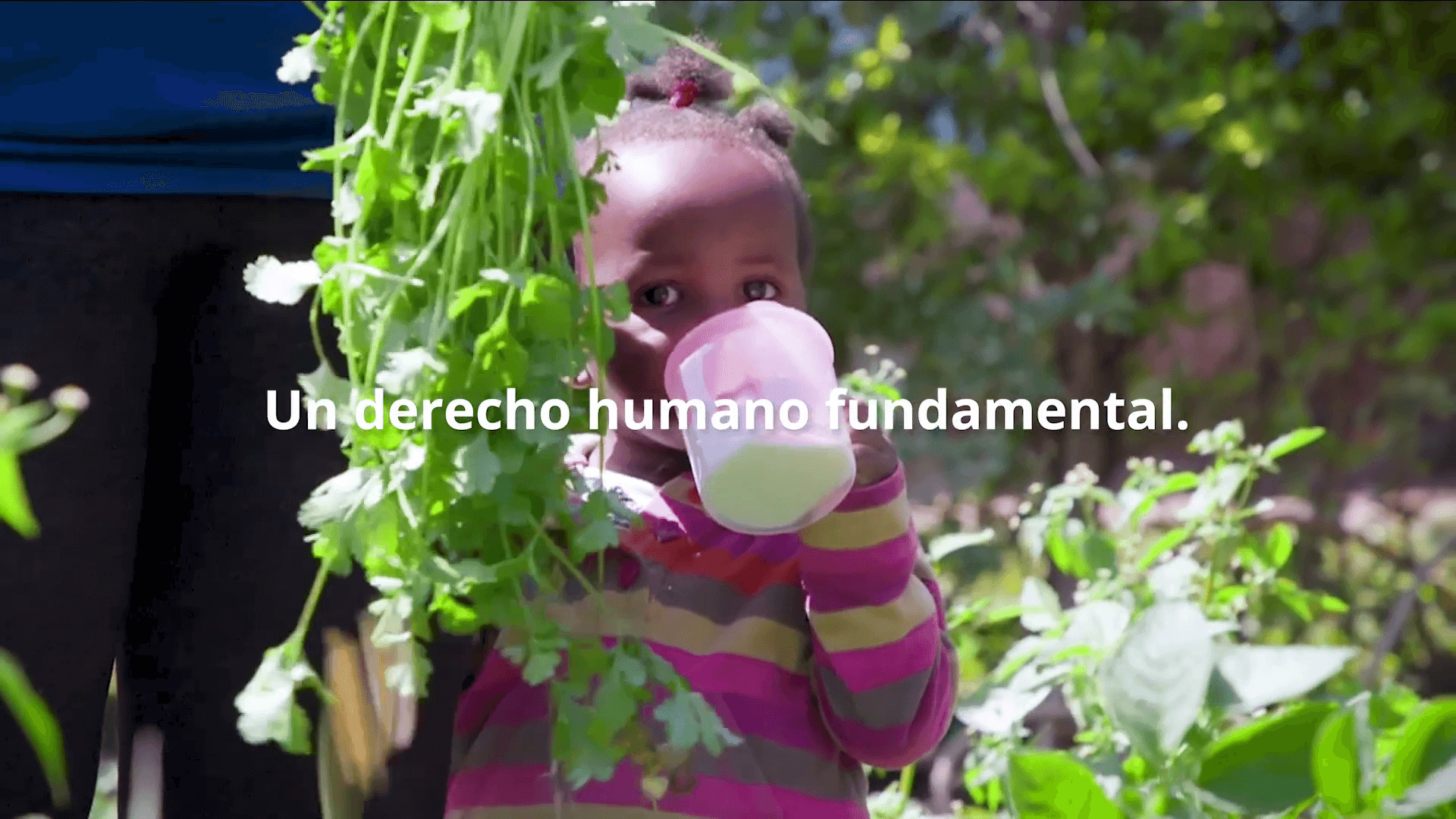 Día Mundial de la Alimentación «Boletín»