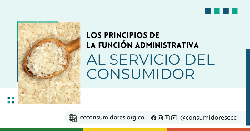 LOS PRINCIPIOS DE LA FUNCIÓN ADMINISTRATIVA AL SERVICIO DEL CONSUMIDOR